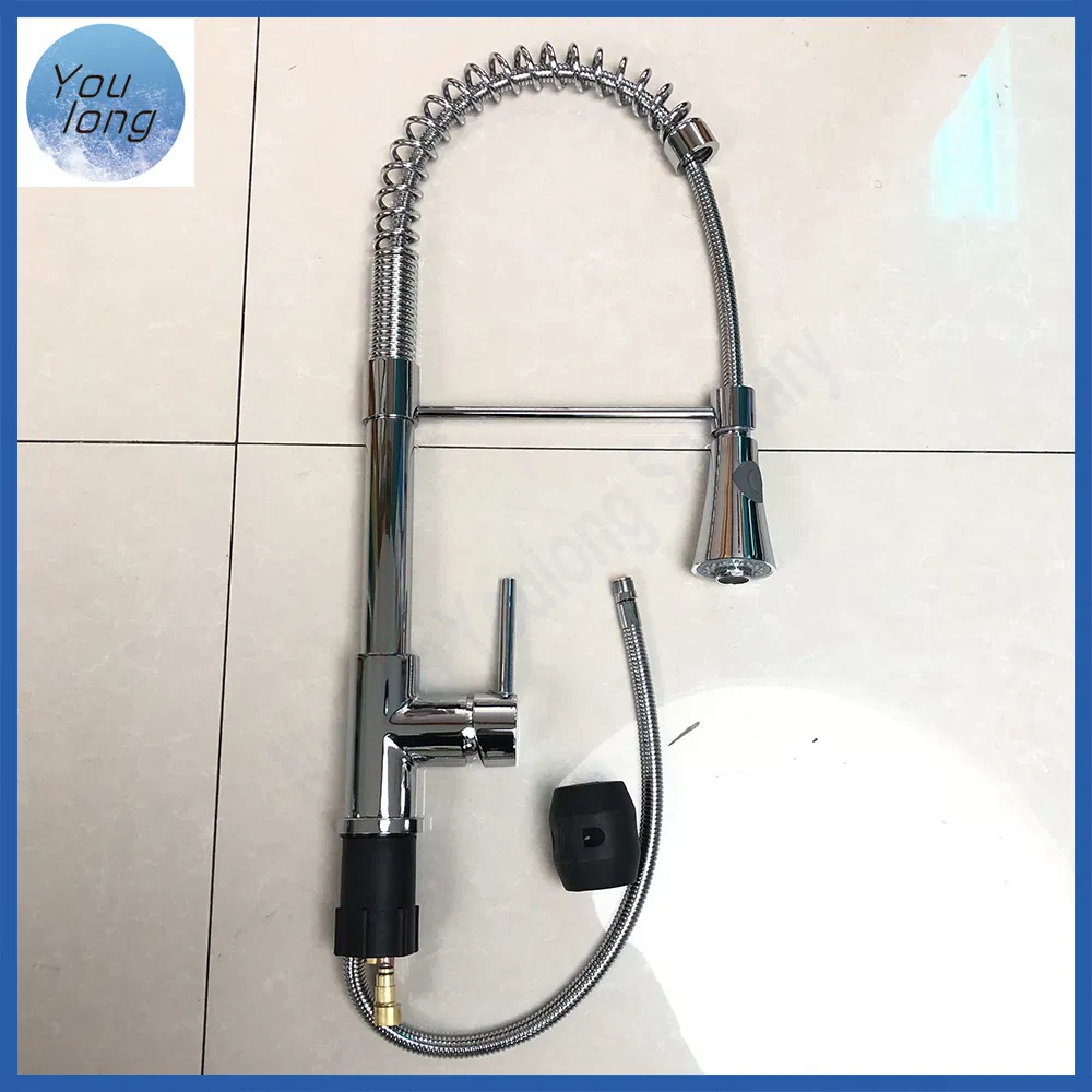 Kitchen Faucet Detail 5