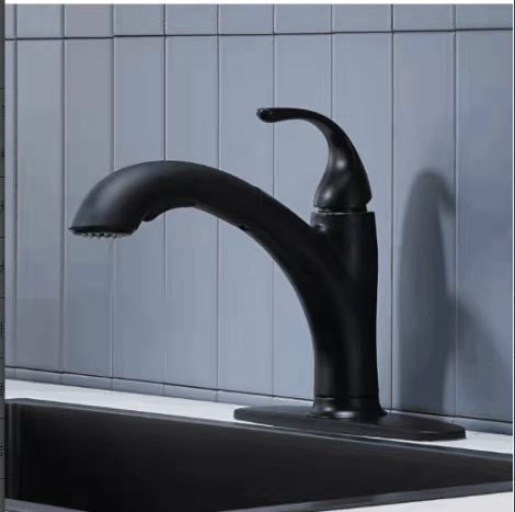 North American and European Bridge Styles Brushed Nickel Pull out Kitchen Faucet