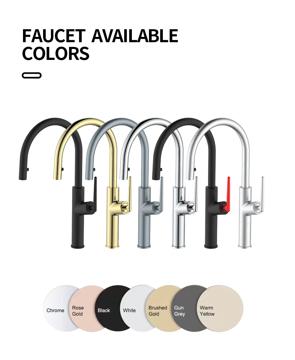 Kitchen Faucet View 2