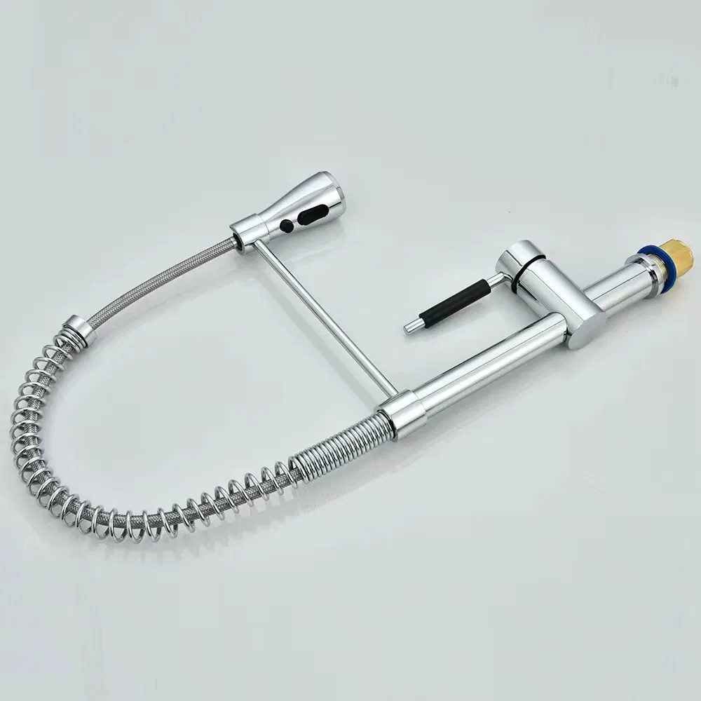 Sink Faucet Kitchen Pull out Hot and Cold Water Dual Bridge Faucet Eco-Friendly Tap Flexible Hose Spring Spray Faucet