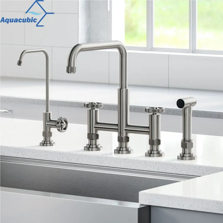 Kitchen Faucet Detail