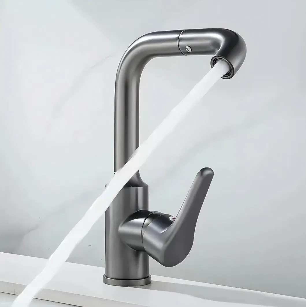 Kitchen Faucet Detail 3