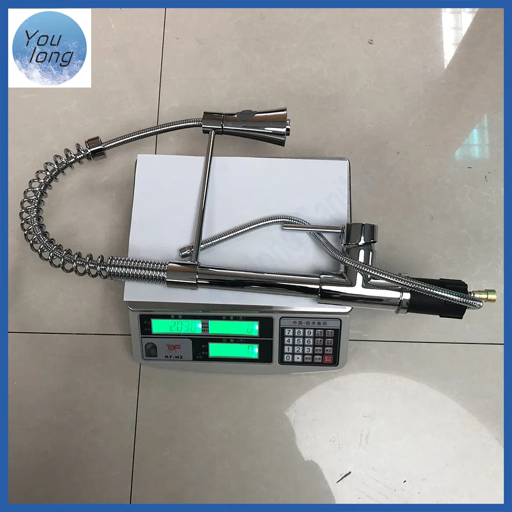 Kitchen Faucet Detail 6