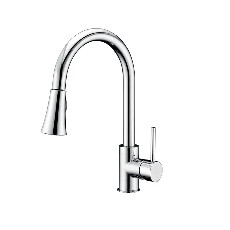 Kitchen Faucet Detail 1