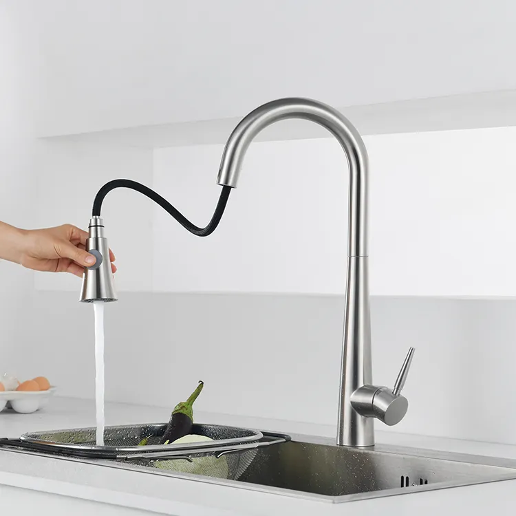 Kitchen Tap Detail 6