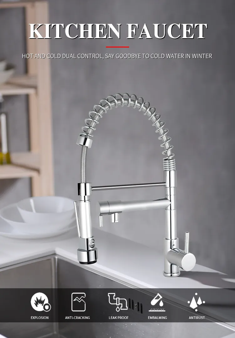 Kitchen Faucet Detail
