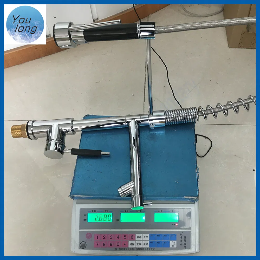 Kitchen Faucet Detail 1