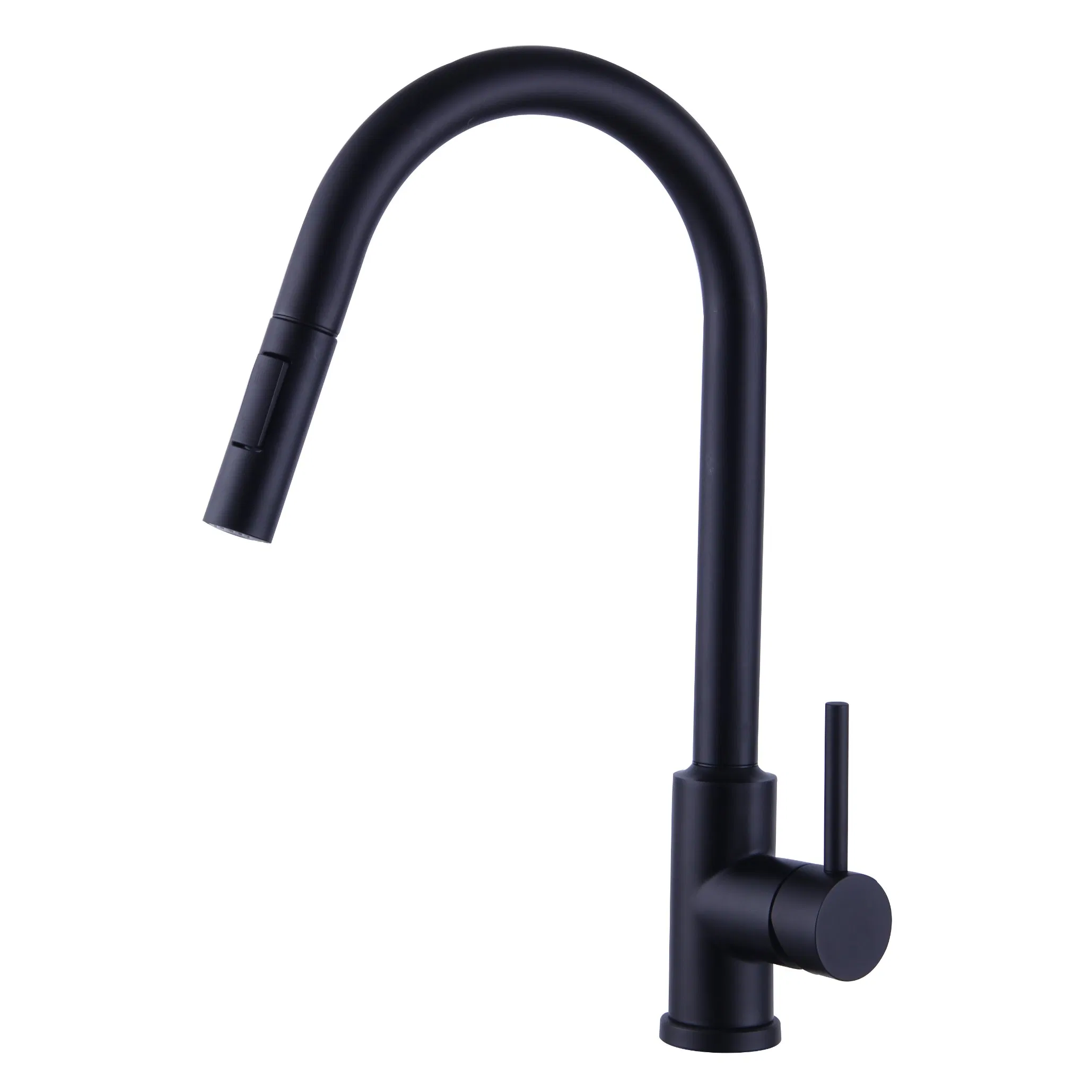 Modern Design Classical Styles Brushed Nickel SUS304 Stainless Steel Kitchen Faucet