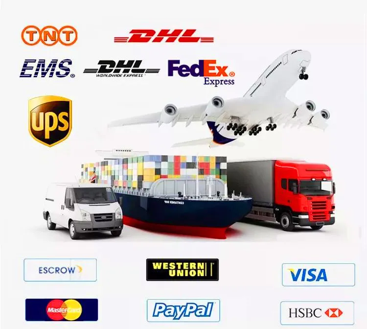 بدلة يوغا بحجم كبير ذات تصميم بسيط بدون أكمام عالية الخصر للأنشطة الخارجية تناسب جميع الأذواق لممارسة الرياضة