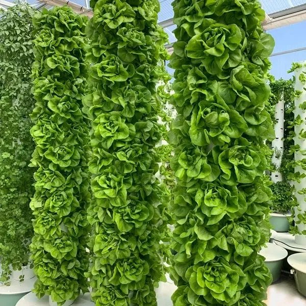 Wholesale Household Cheap Vertical Tower Hydroponic Gardens Indoor Growing Kit China Manufacturer