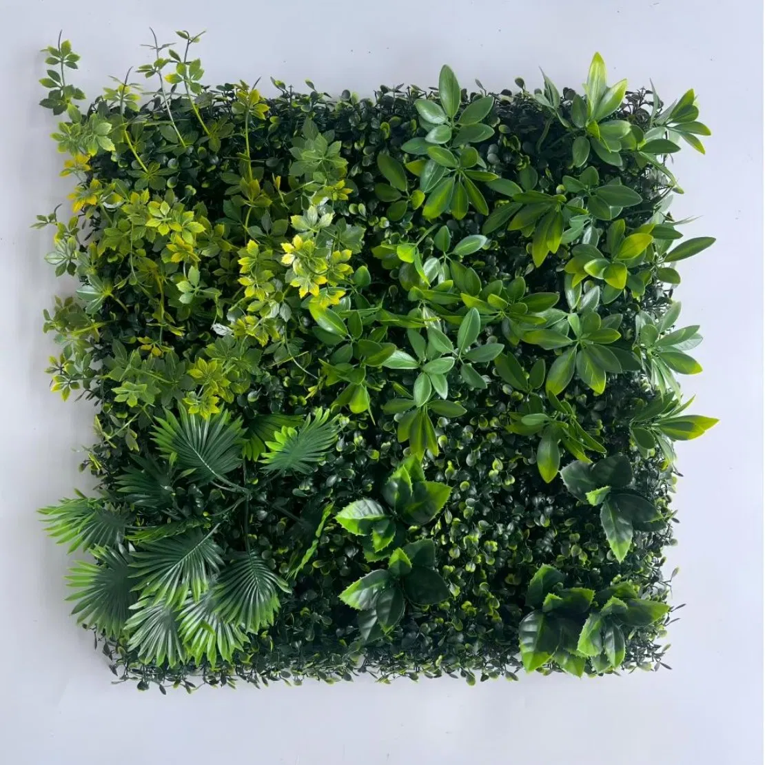 Indoor Vertical Garden