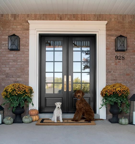 Decorative Wrought Iron Door Latest French Steel Window Grill Design Cheap Steel Glass Windows