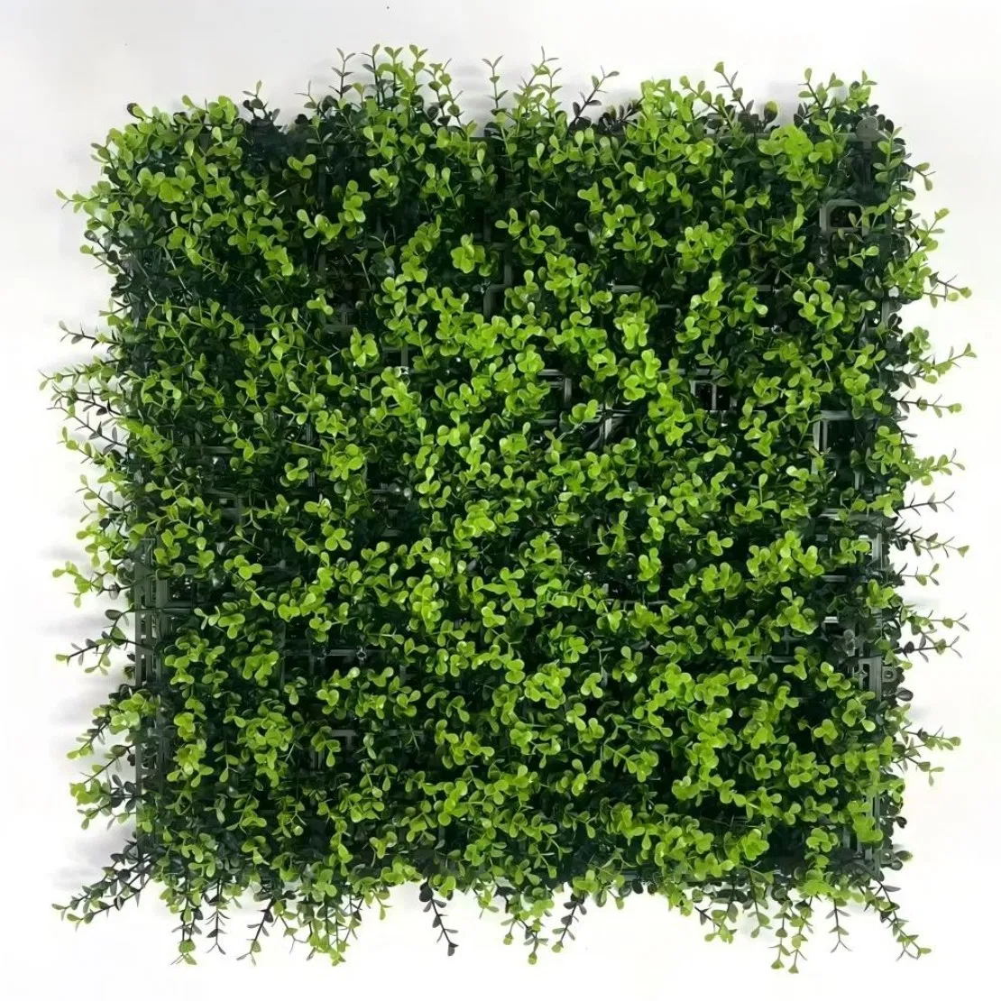 Stylish Indoor Vertical Garden with Energy-Efficient LED Grow Light