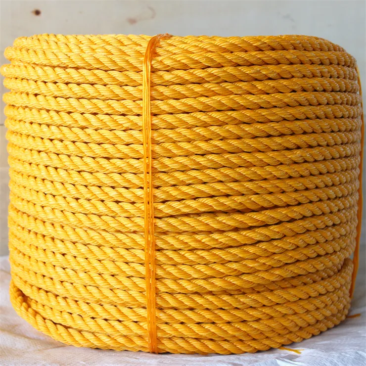 Twisted Rope Detail 1