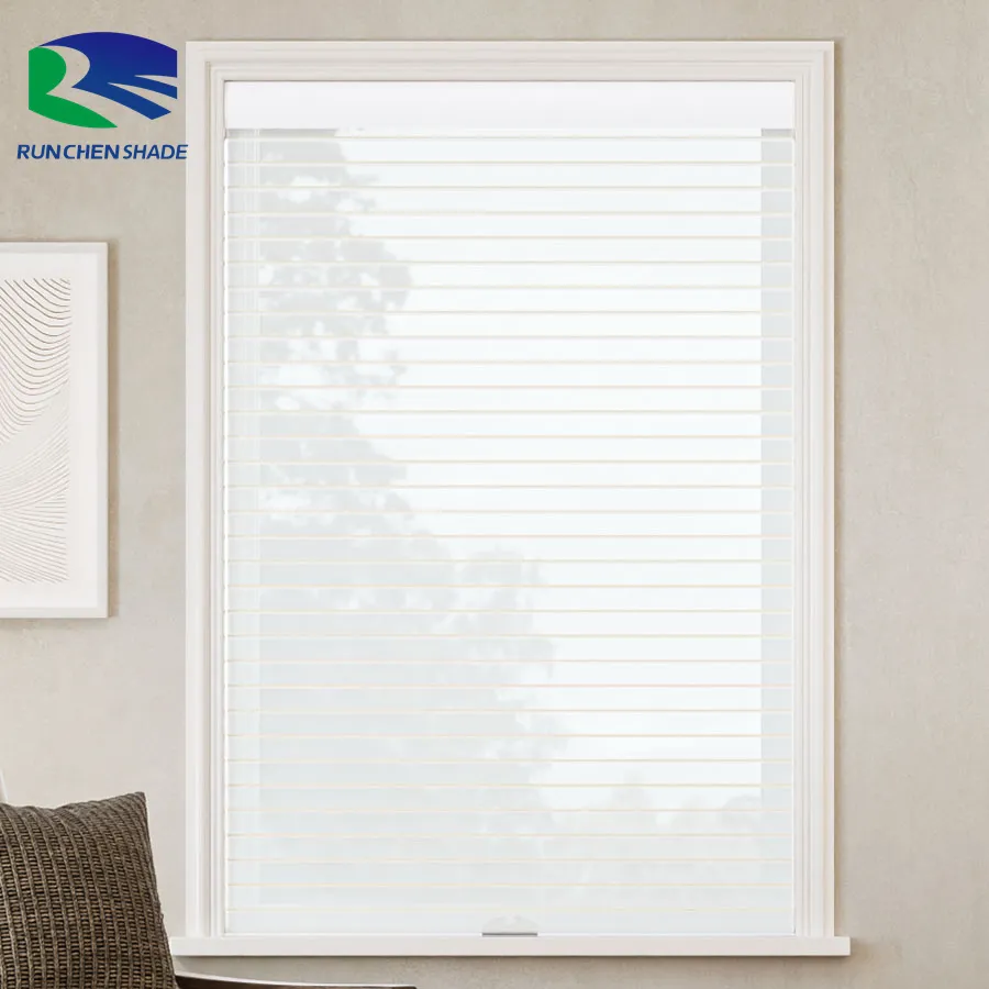 Motorized Shangri La Blind 2