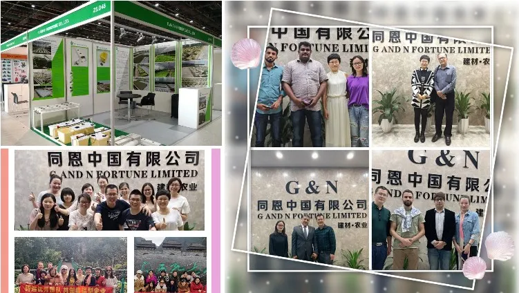 Production Environment