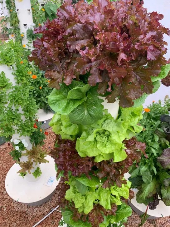 Pineapple Type Aeroponic Planting Tower Vertical Hydroponic System Indoor Garden