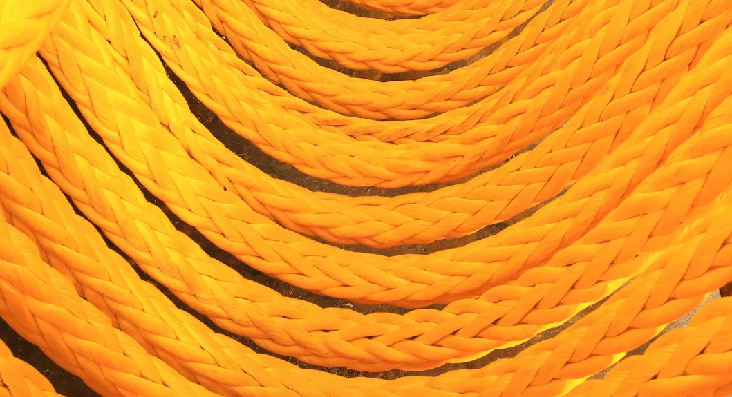 Factory Product Display