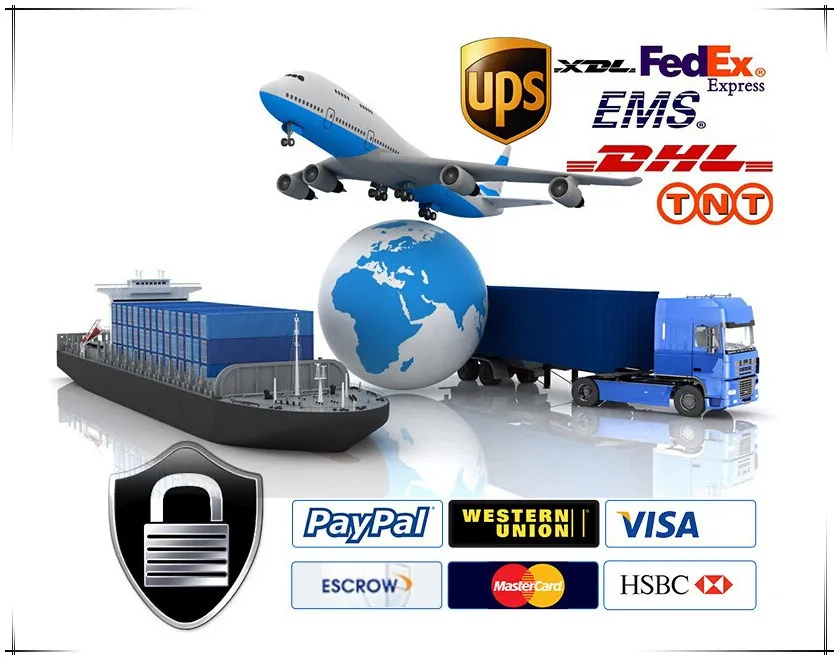 Shipment and Delivery Info