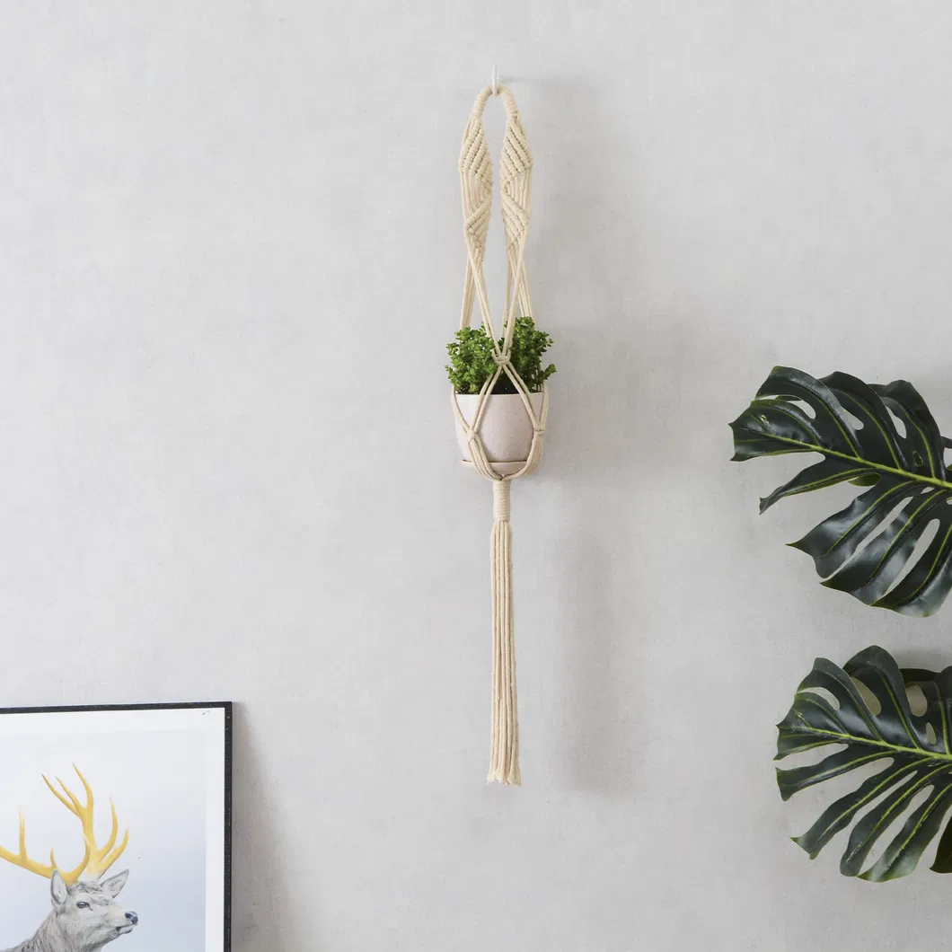 Macrame Plant Hanger 3