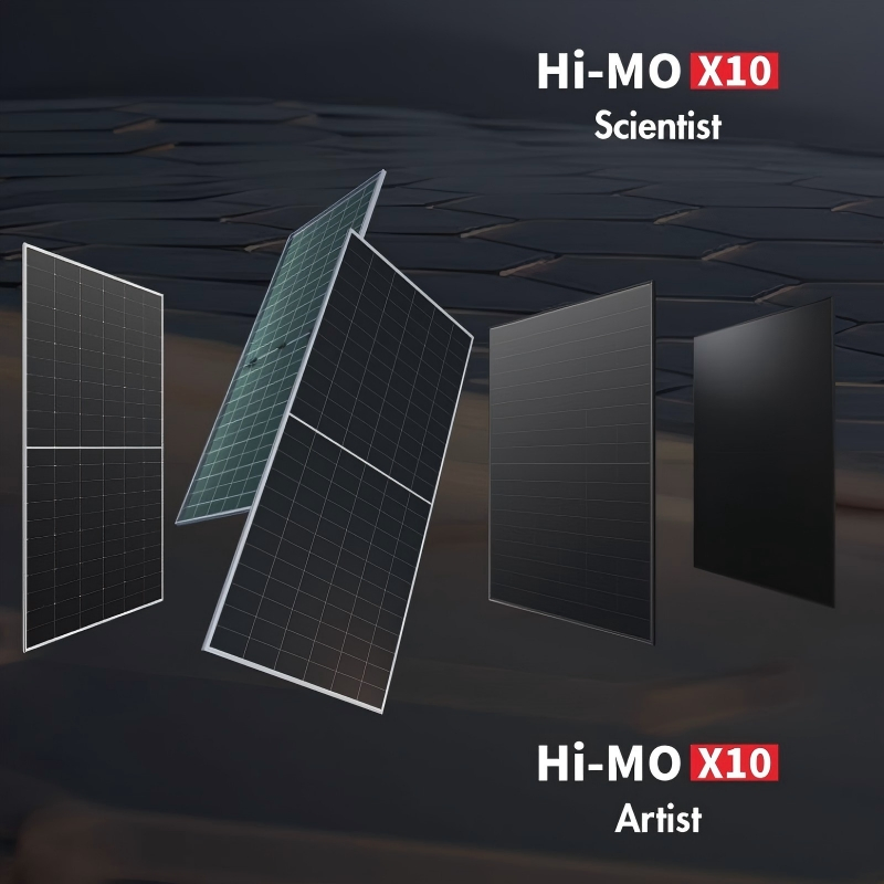 Panel Solar Longi Jinko/Ja/Chint Astronergy Trina Risen Hpbc Bifacial Antirreflejo PV Hi-Mo 630W 650W 670W 710W 720W 730W X10