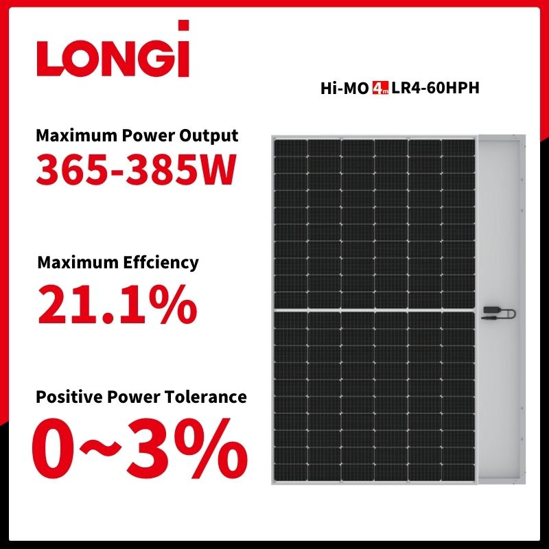 Paneles solares monocristalinos de alta eficiencia de marca líder para generación de energía a gran escala
