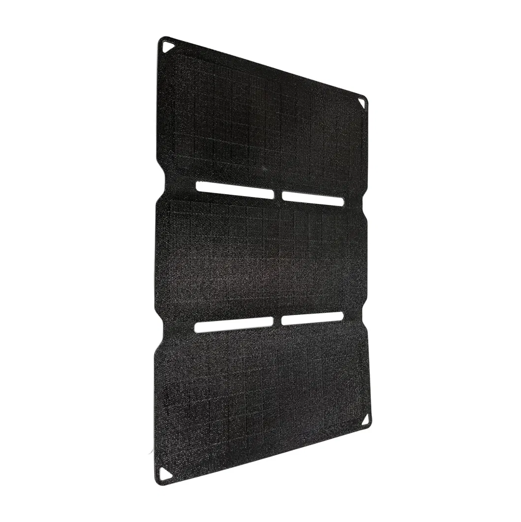 Detalle Panel Solar 30W