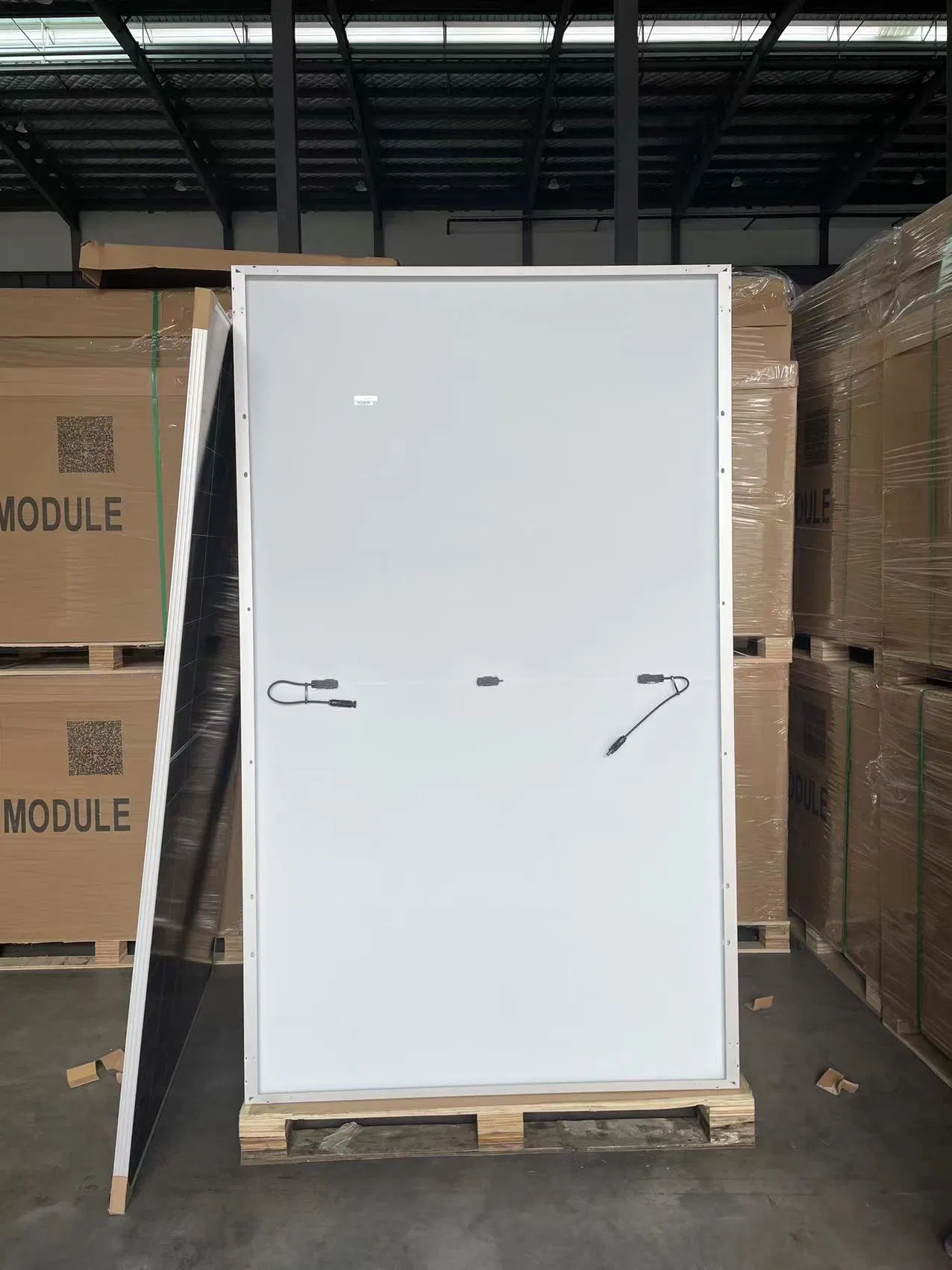 Panel Solar Half Cut de la UE Shinefar 610W Módulo Solar PERC