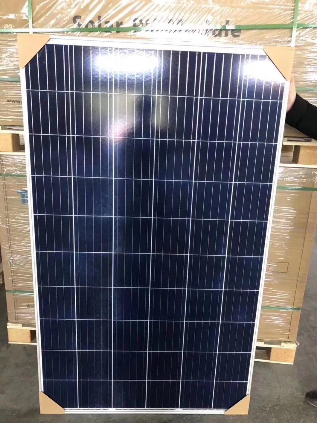 Celdas Solares de Policristal 60 Panel Solar 250W 260W 270W 280W 300W Paneles Solares Policristalinos
