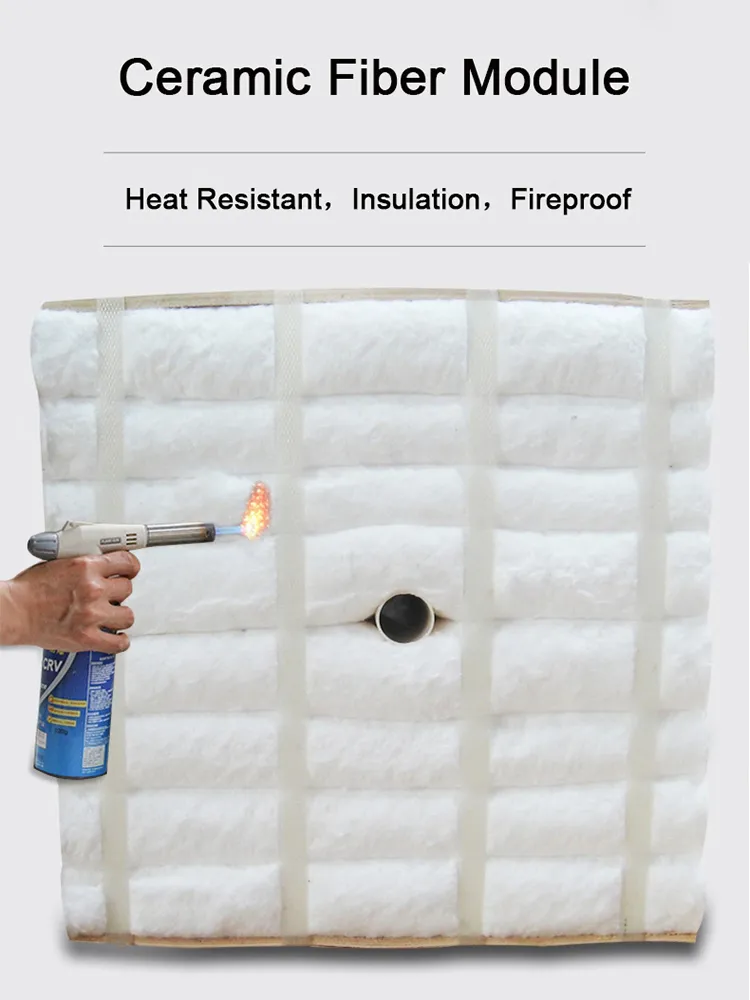 Ceramic Fiber Module