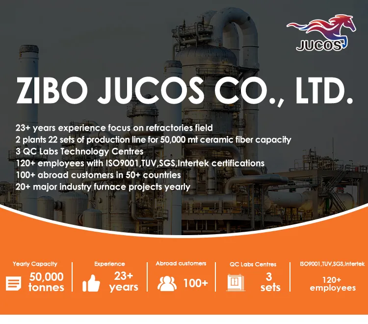 Ceramic Fiber Module