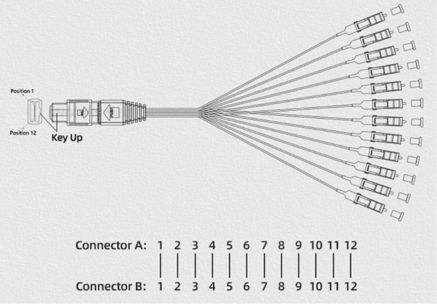 MTP MPO Breakout Cable