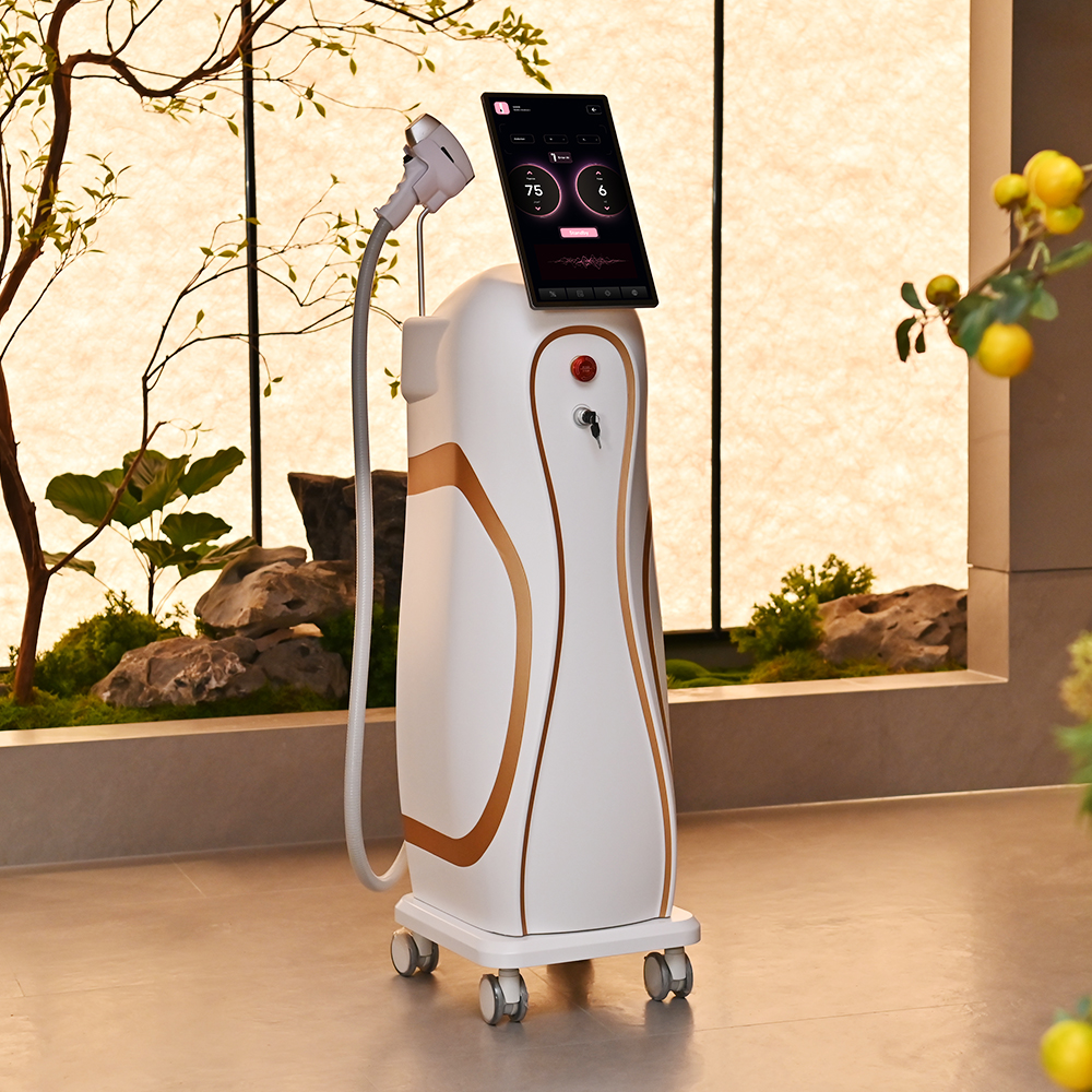 2026 Newest Portable High Power Medical Grade [BRAND] 808nm Diode Laser CE Certified Factory Price Hair Removal Machine