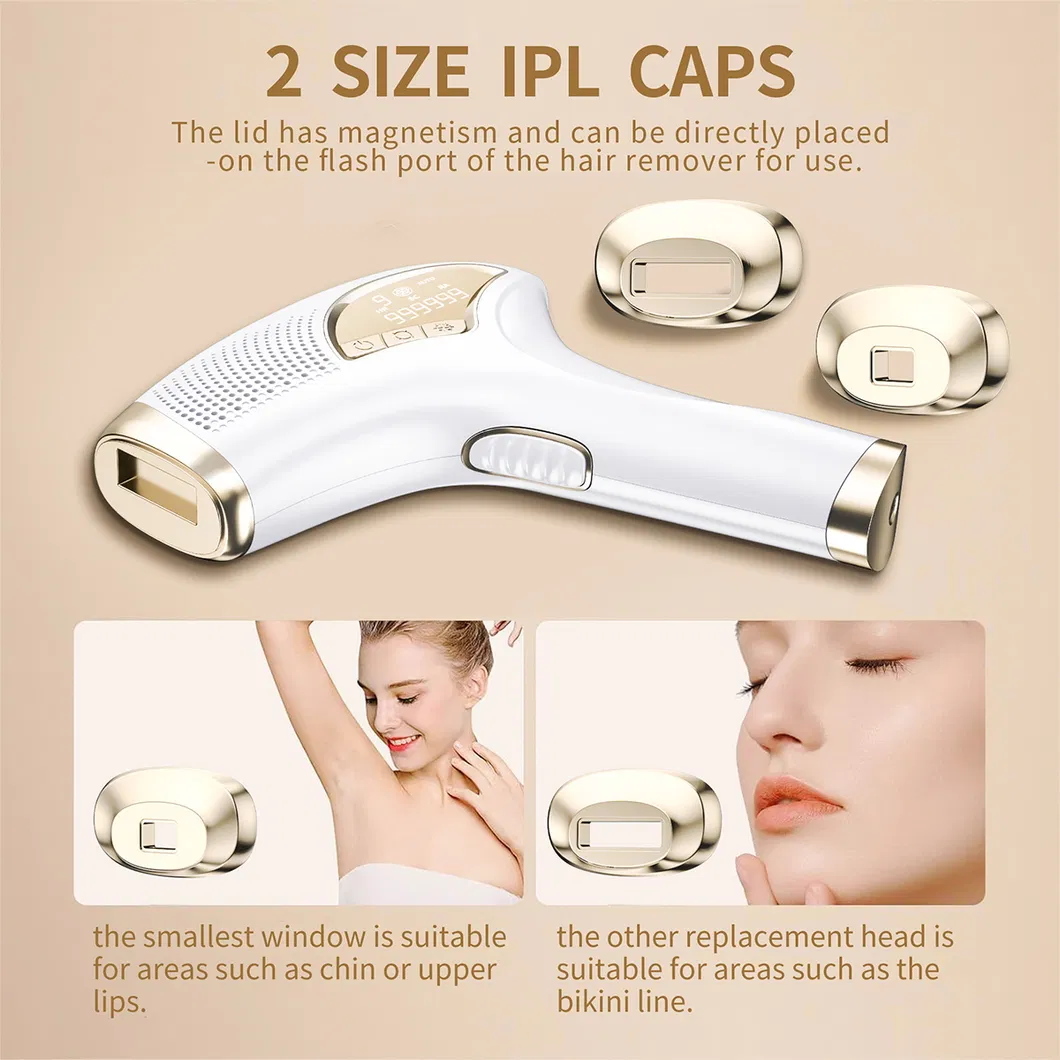 IPL Detail 2