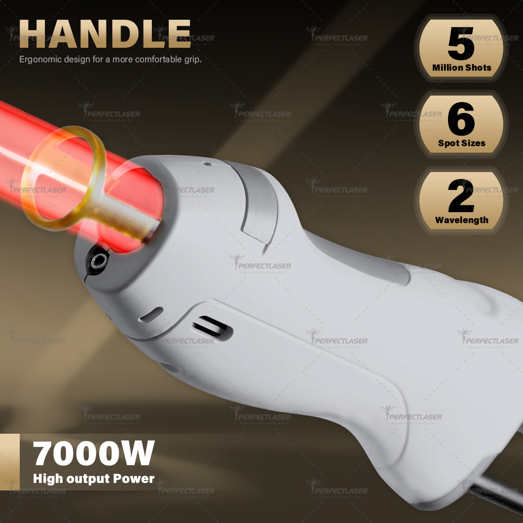 Perfectlaser 755nm 1064nm Alexandrite and Nd Yag Laser Hair Removal Machine Long Pulse Alex Laser Hair Removal Machine Price