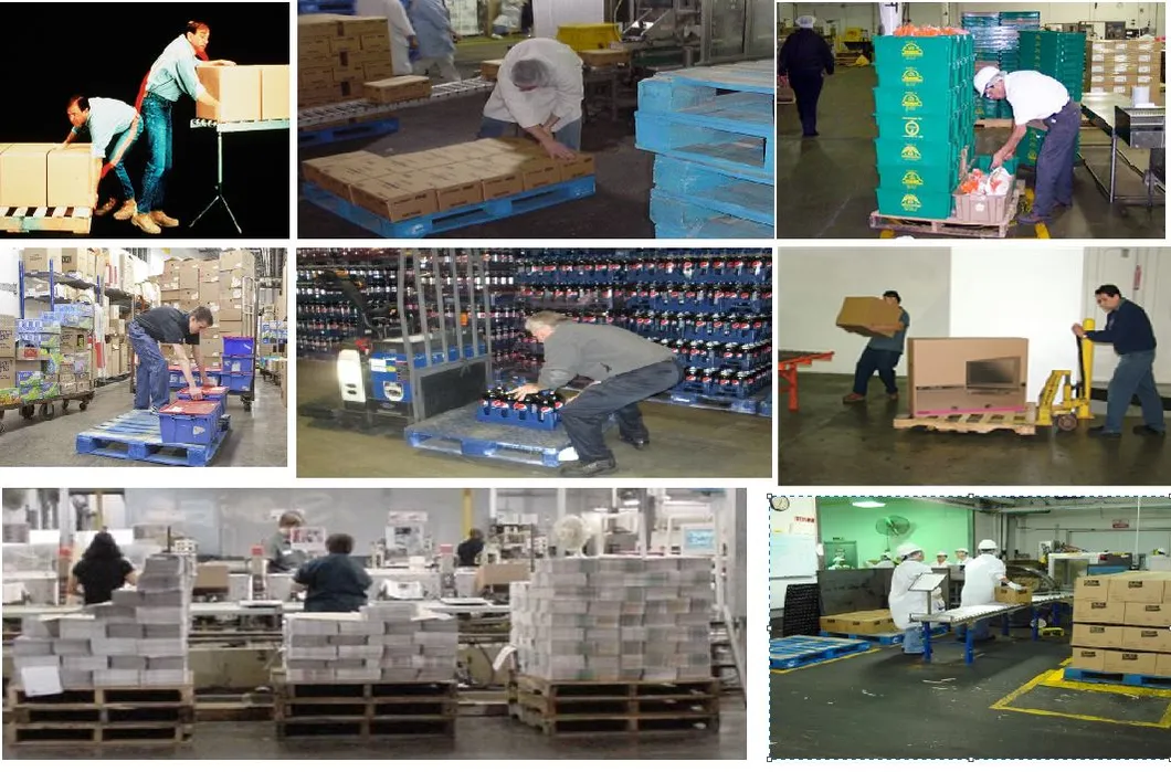 Pallet Positioner Application