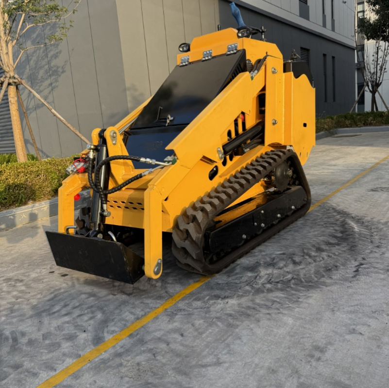 Mini Front Skid Steer Loader/Used Best Skid Steer Loader/Skid Steer Loader with Door Side/Chinese Automobile Car/Wheel Backhoe Front Construction Loader Sale
