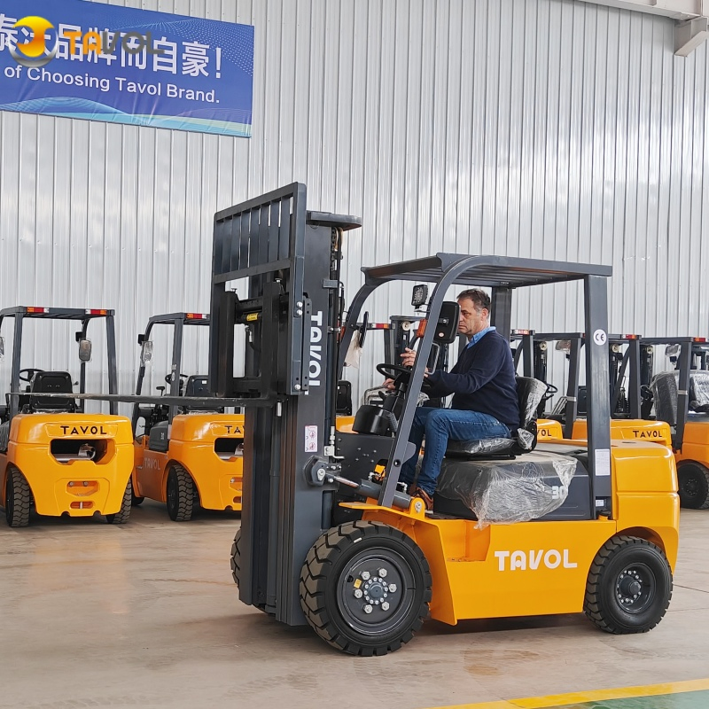 Hot Sale Cheap Price Clark 2.5 Ton 3 Ton 3.5 Ton 4 Ton 5 Ton Montacargas 3m-6m Duplex Triplex Container Mast Diesel Forklift Price Forklift with CE ISO