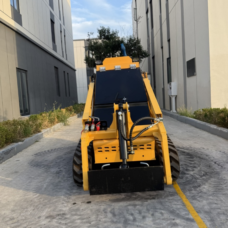 Mini Front Skid Steer Loader/Used Best Skid Steer Loader/Skid Steer Loader with Door Side/Chinese Automobile Car/Wheel Backhoe Front Construction Loader Sale