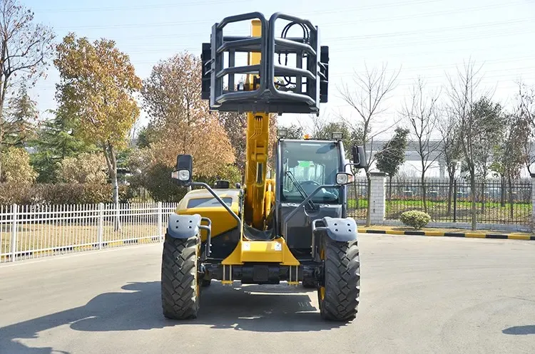 Telehandler View 3
