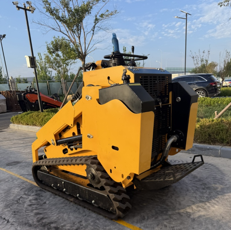 Mini Front Skid Steer Loader/Used Best Skid Steer Loader/Skid Steer Loader with Door Side/Chinese Automobile Car/Wheel Backhoe Front Construction Loader Sale