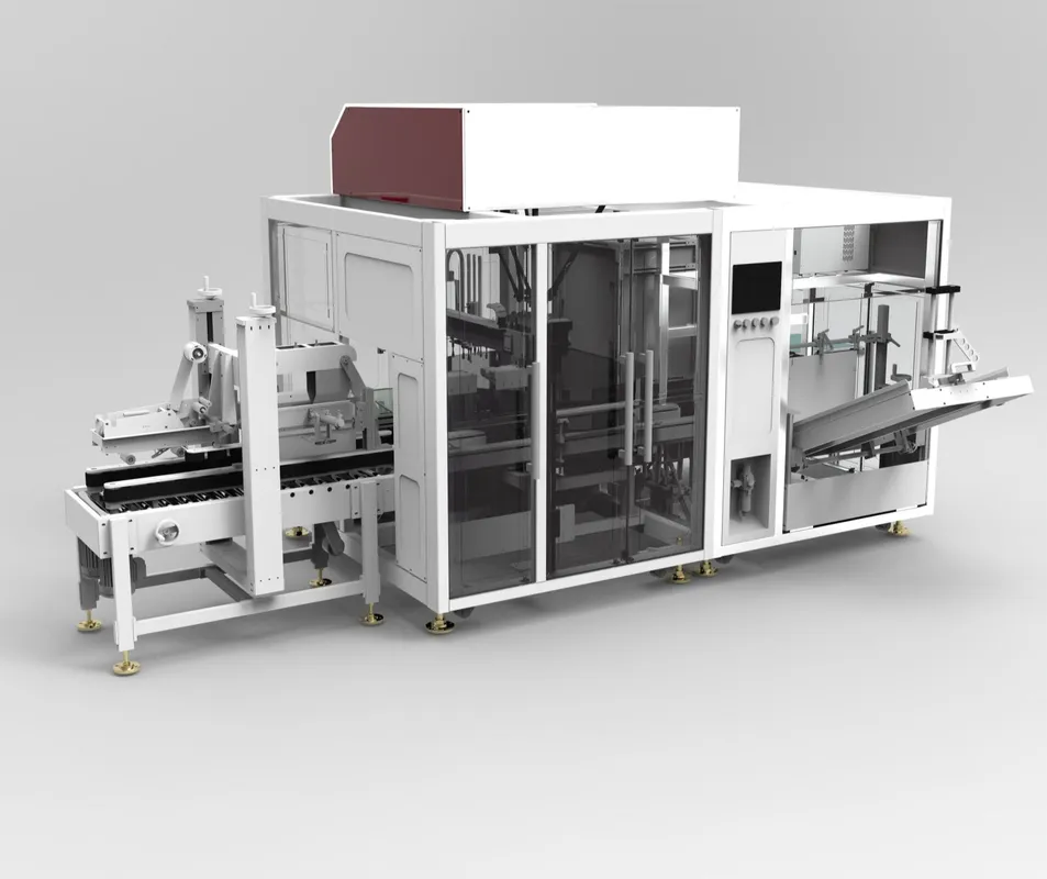 Case Packing Machine detail 2