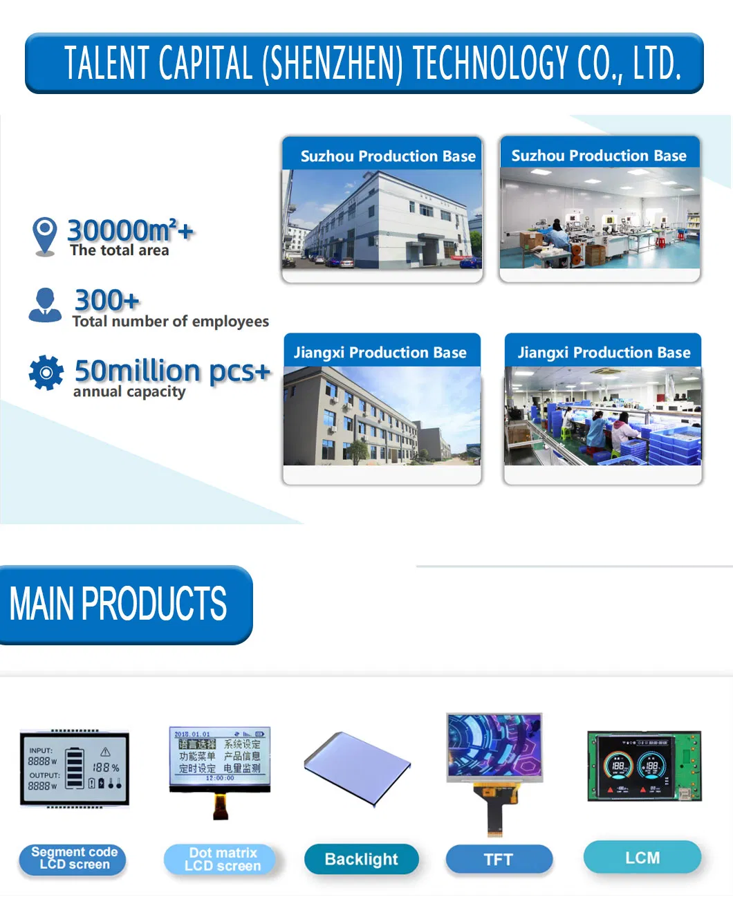 LCD Segment Monochrome Module