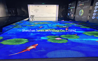 Interactive Multifunction Indoor Outdoor P2.976 P3.91 P4.81 P6.25 LED Dance Floor/Screen/LED Screen Display Indoor