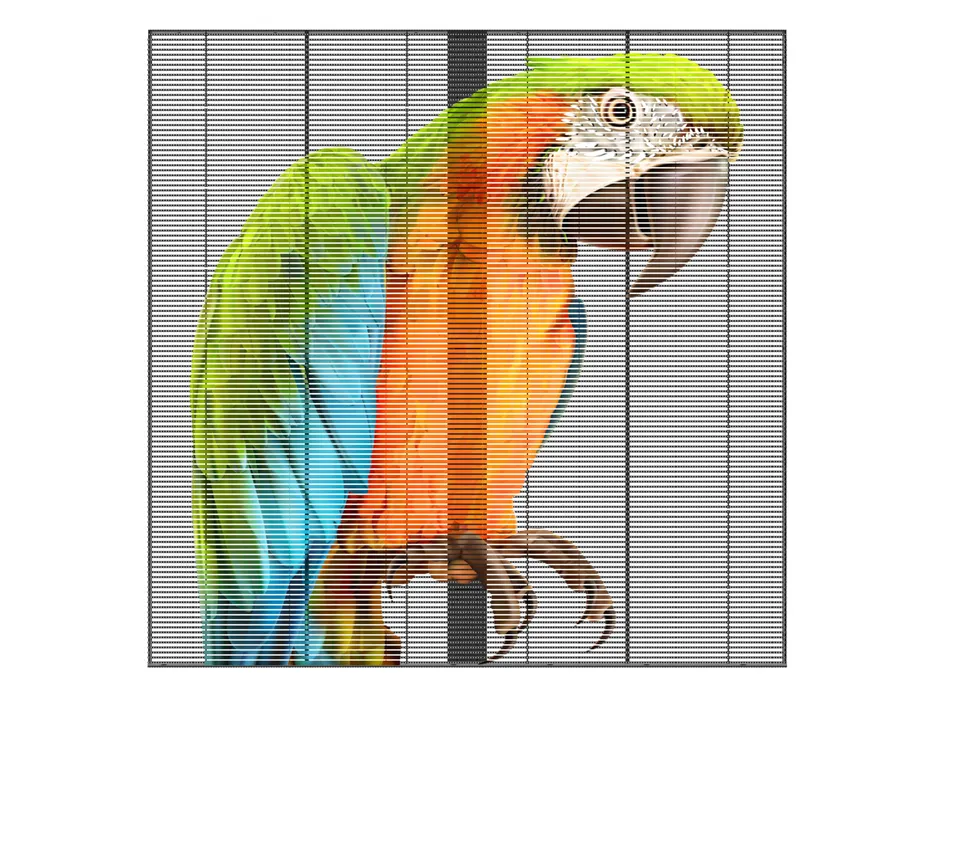 Transparency Advantage