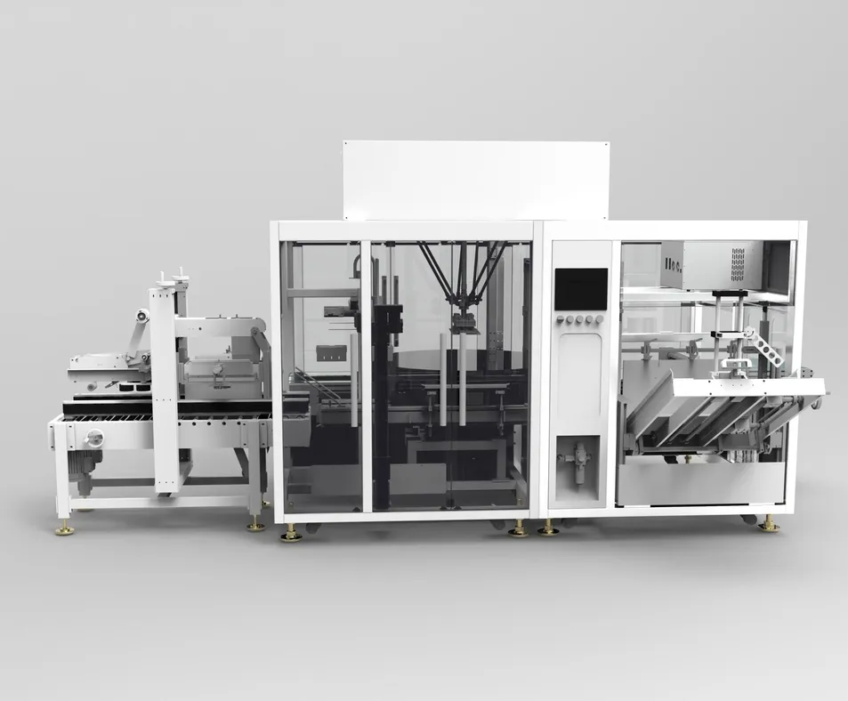 Case Packing Machine detail 4