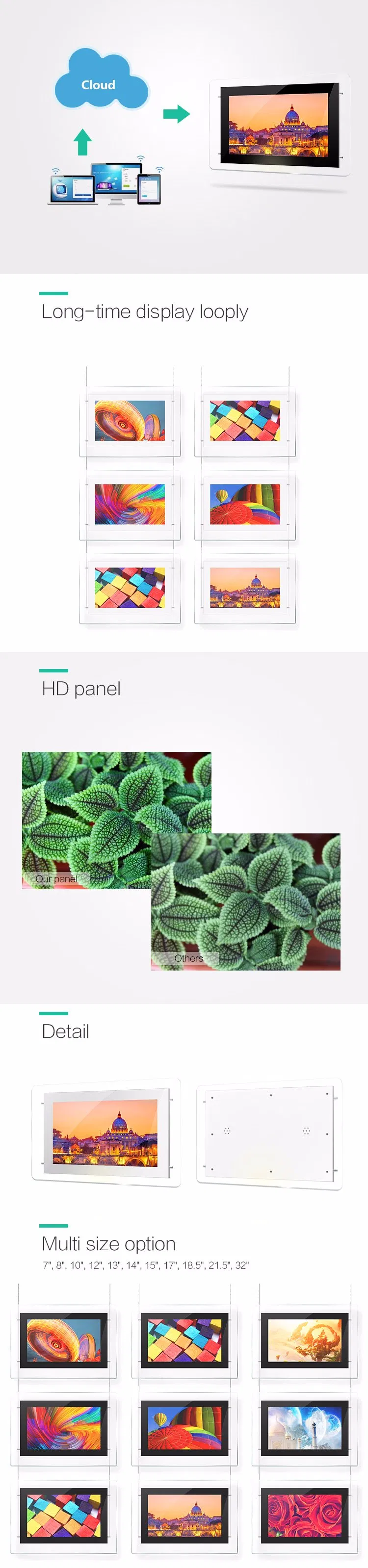 Hanging LCD Player 2