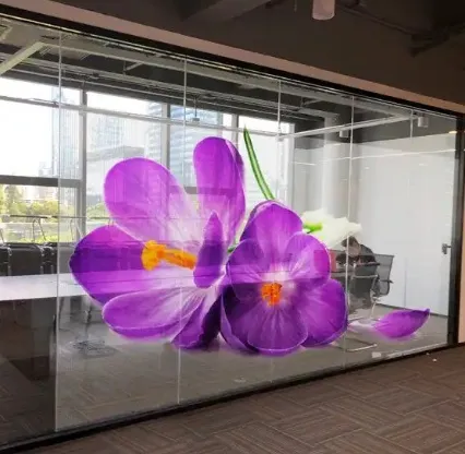 Flexible Transparent Display