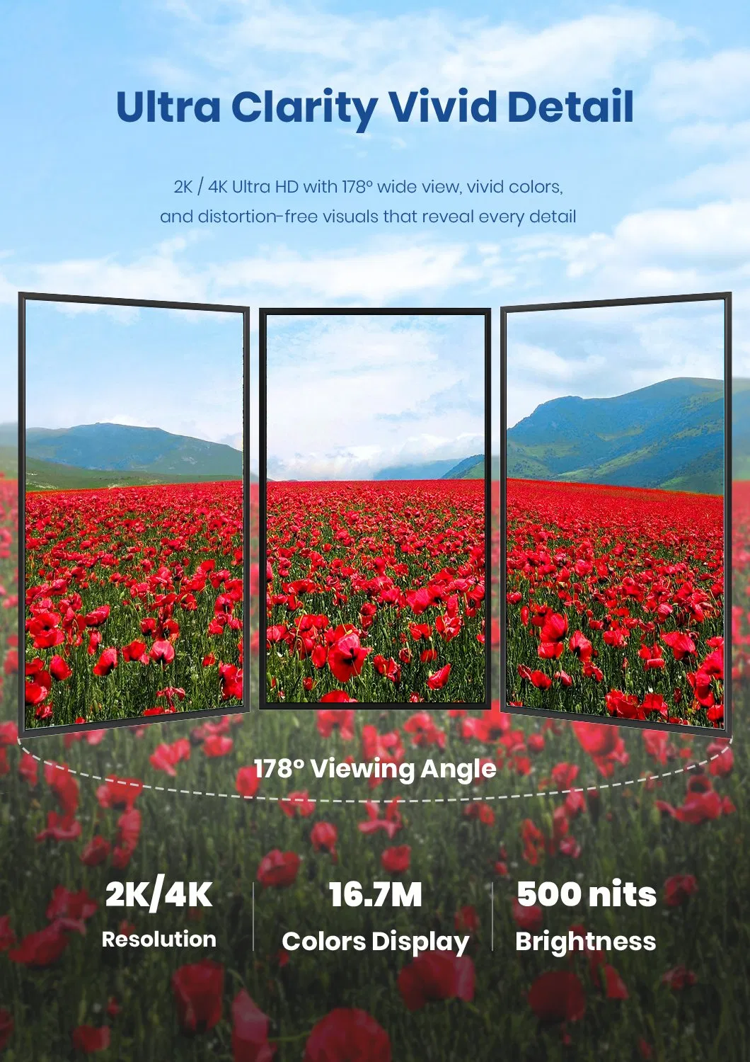 Digital Signage Display 2