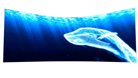 Curved LED Screen
